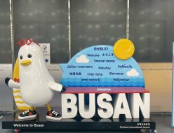 KakaoTalk_20260119_161357610_05