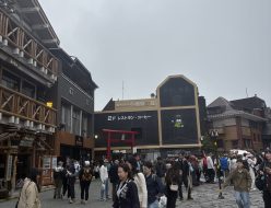 IMG_1212