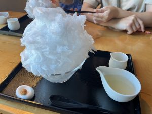 S__43204672_0